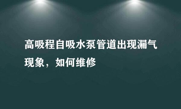 高吸程自吸水泵管道出现漏气现象，如何维修