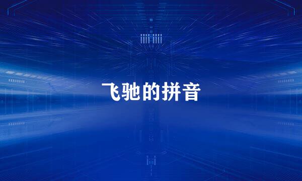 飞驰的拼音