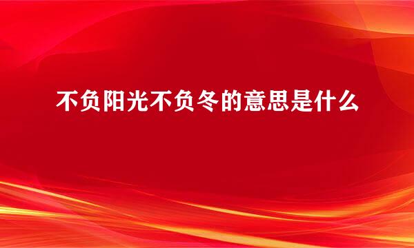 不负阳光不负冬的意思是什么