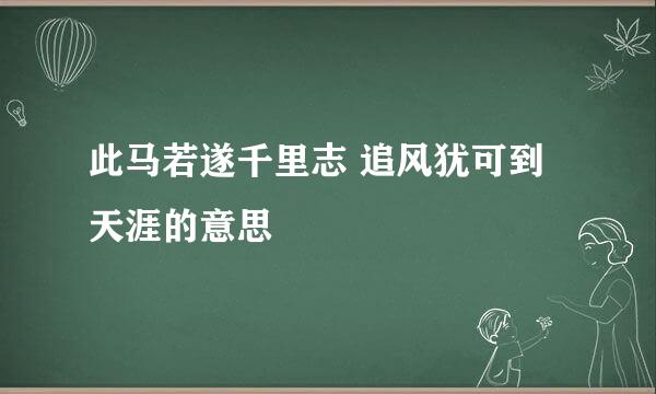此马若遂千里志 追风犹可到天涯的意思