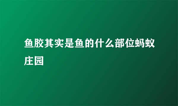 鱼胶其实是鱼的什么部位蚂蚁庄园