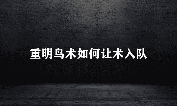 重明鸟术如何让术入队
