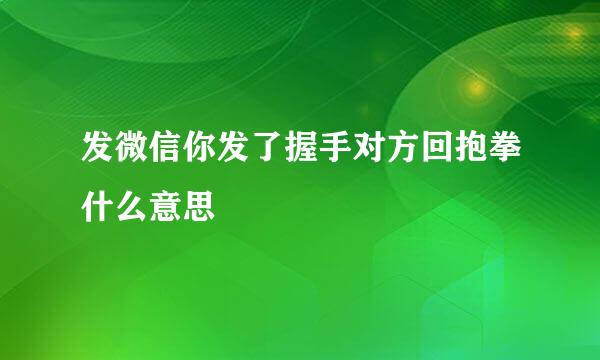 发微信你发了握手对方回抱拳什么意思