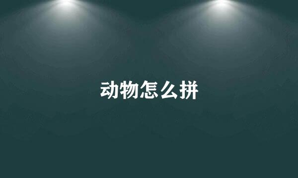 动物怎么拼