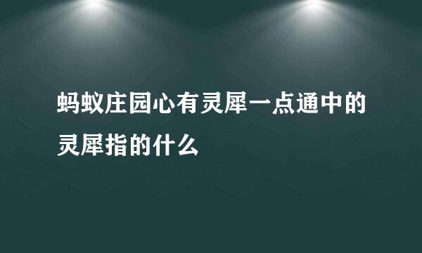 蚂蚁庄园心有灵犀一点通中的灵犀指的什么