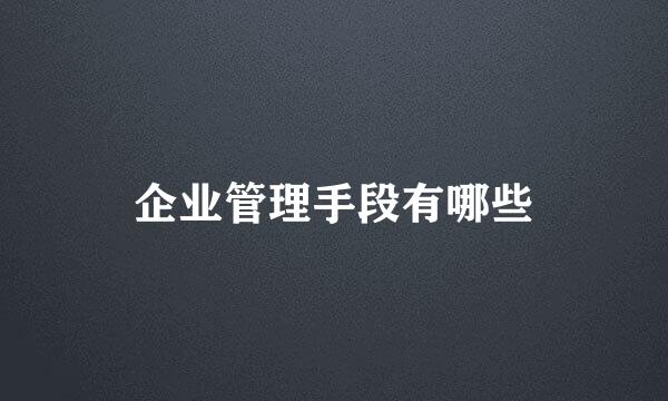 企业管理手段有哪些