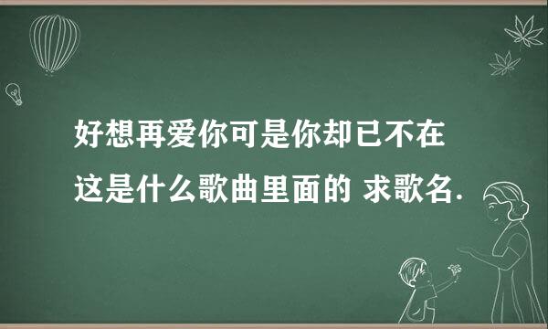 好想再爱你可是你却已不在 这是什么歌曲里面的 求歌名.