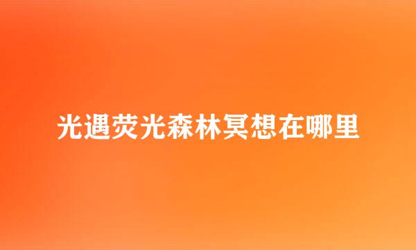 光遇荧光森林冥想在哪里