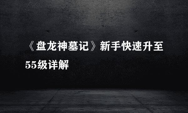 《盘龙神墓记》新手快速升至55级详解