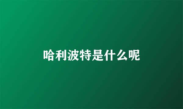 哈利波特是什么呢