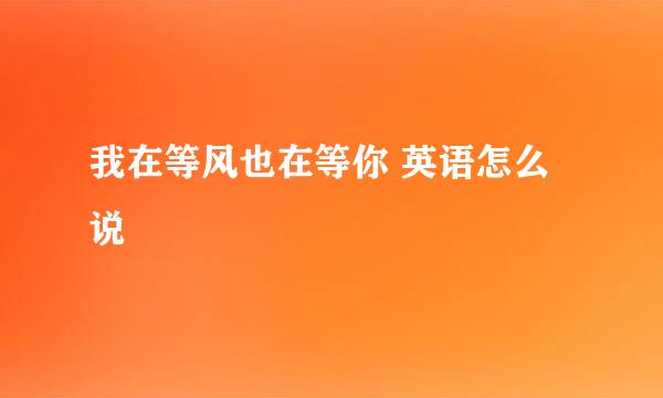 我在等风也在等你 英语怎么说