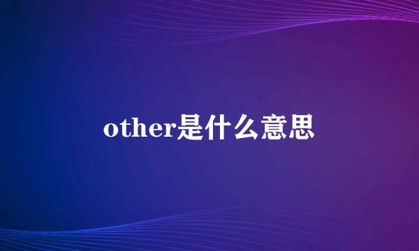 other是什么意思