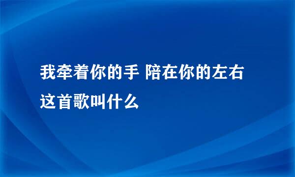 我牵着你的手 陪在你的左右 这首歌叫什么
