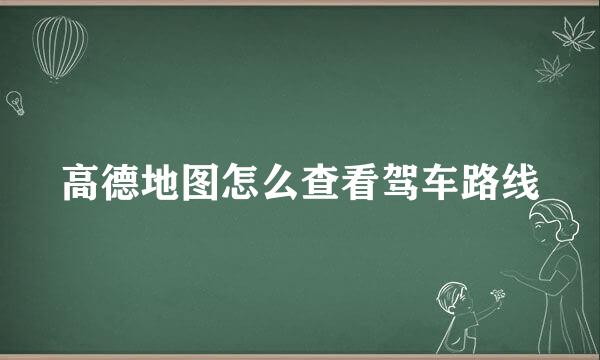 高德地图怎么查看驾车路线