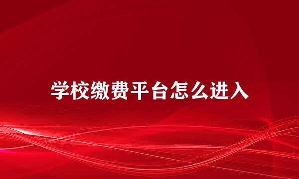 学校缴费平台怎么进入
