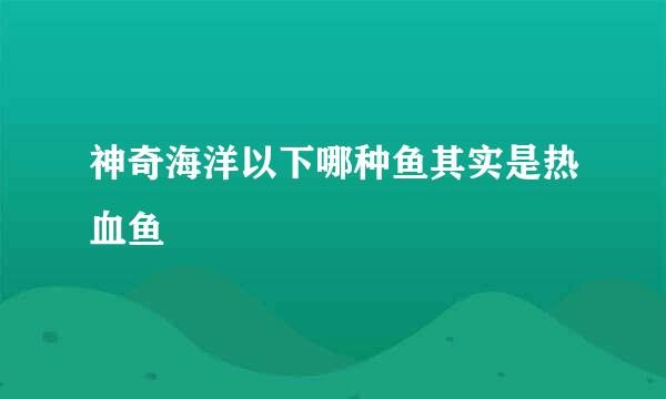 神奇海洋以下哪种鱼其实是热血鱼