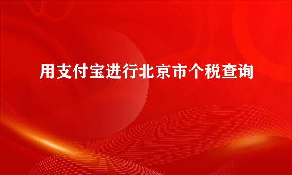 用支付宝进行北京市个税查询