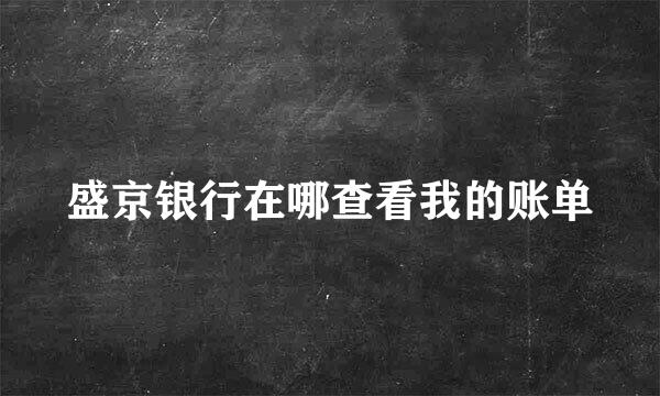 盛京银行在哪查看我的账单