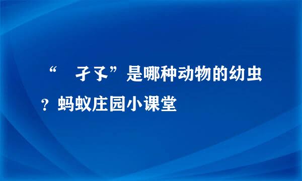 “‌孑孓”是哪种动物的幼虫？蚂蚁庄园小课堂