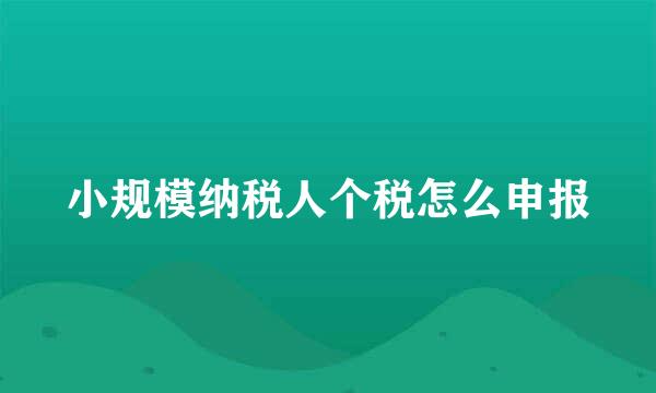 小规模纳税人个税怎么申报