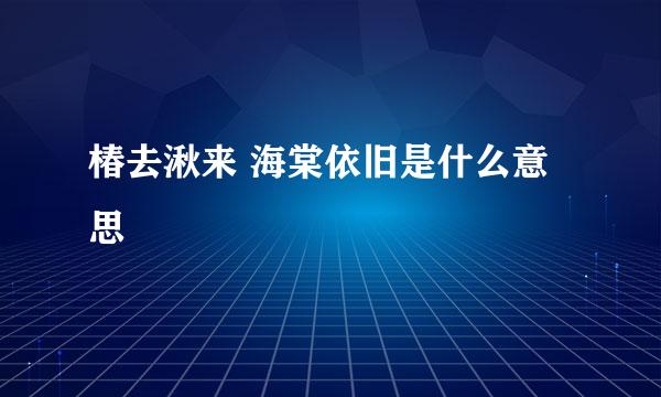 椿去湫来 海棠依旧是什么意思
