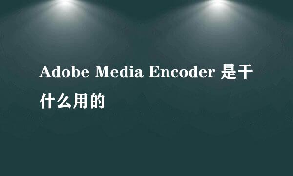 Adobe Media Encoder 是干什么用的