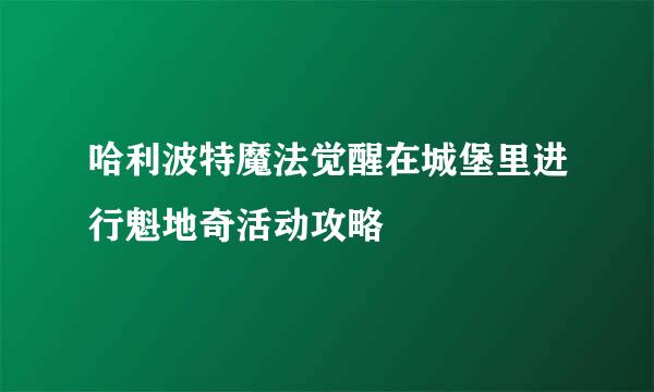 哈利波特魔法觉醒在城堡里进行魁地奇活动攻略