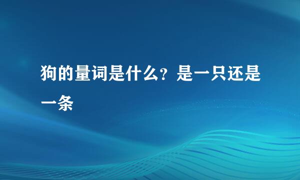 狗的量词是什么？是一只还是一条