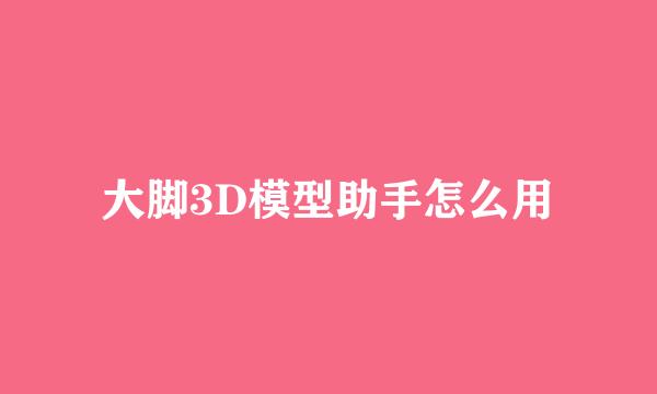 大脚3D模型助手怎么用