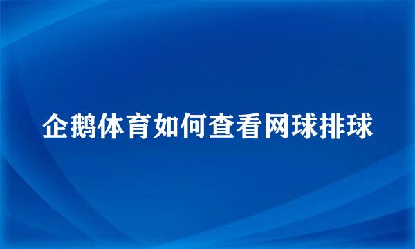 企鹅体育如何查看网球排球