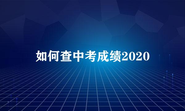 如何查中考成绩2020