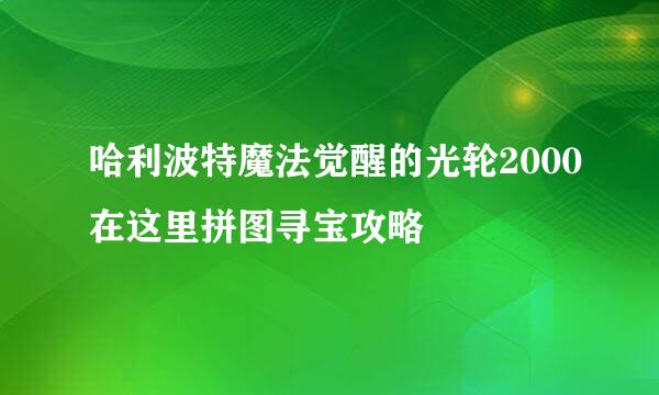 哈利波特魔法觉醒的光轮2000在这里拼图寻宝攻略