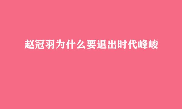 赵冠羽为什么要退出时代峰峻