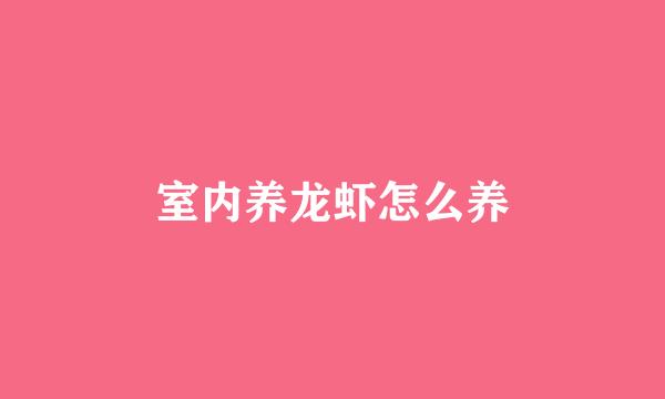 室内养龙虾怎么养