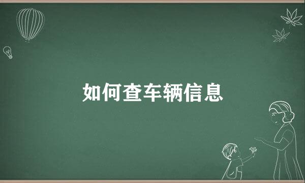 如何查车辆信息