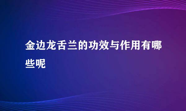 金边龙舌兰的功效与作用有哪些呢