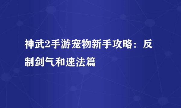 神武2手游宠物新手攻略：反制剑气和速法篇