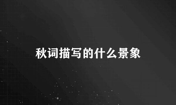 秋词描写的什么景象