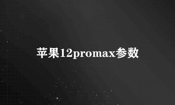苹果12promax参数