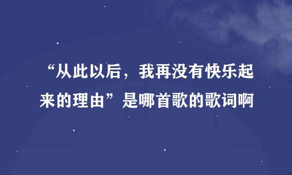 “从此以后，我再没有快乐起来的理由”是哪首歌的歌词啊
