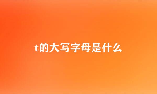 t的大写字母是什么