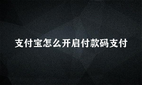 支付宝怎么开启付款码支付