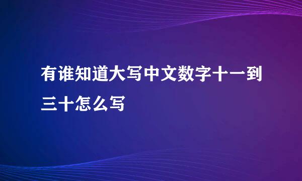 有谁知道大写中文数字十一到三十怎么写