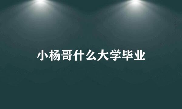 小杨哥什么大学毕业