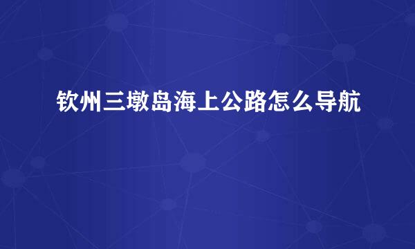 钦州三墩岛海上公路怎么导航