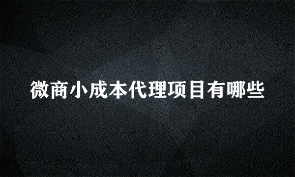 微商小成本代理项目有哪些