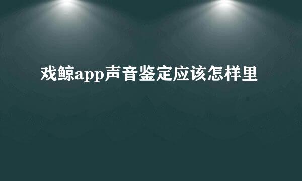 戏鲸app声音鉴定应该怎样里