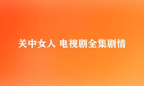 关中女人 电视剧全集剧情