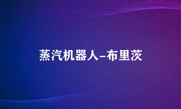 蒸汽机器人-布里茨