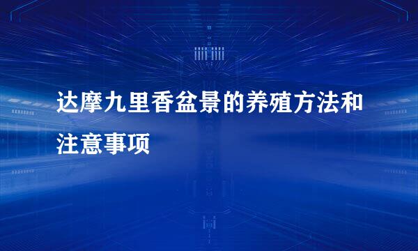 达摩九里香盆景的养殖方法和注意事项